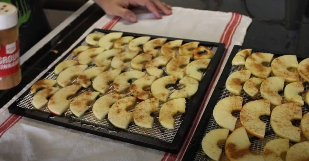 How To Dehydrate Fruit