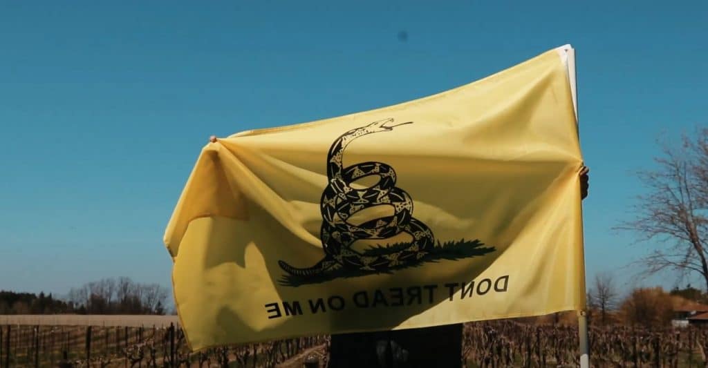 Gadsden Flag History &Amp; What Does Don’t Tread On Me Meaning Today