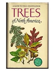 Träd i Nordamerika