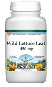 Wild Lettuce Leaf