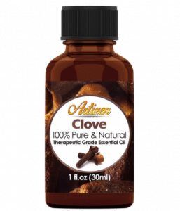 Artizen Clove Essential Oil