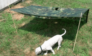 Un altro metodo di tenda per cuccioli