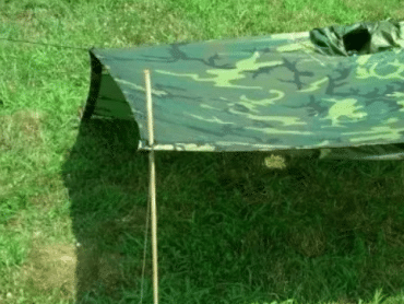 Kolejna metoda na namiot dla szczeniąt