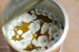 Canned-Food-Expired-Moldy