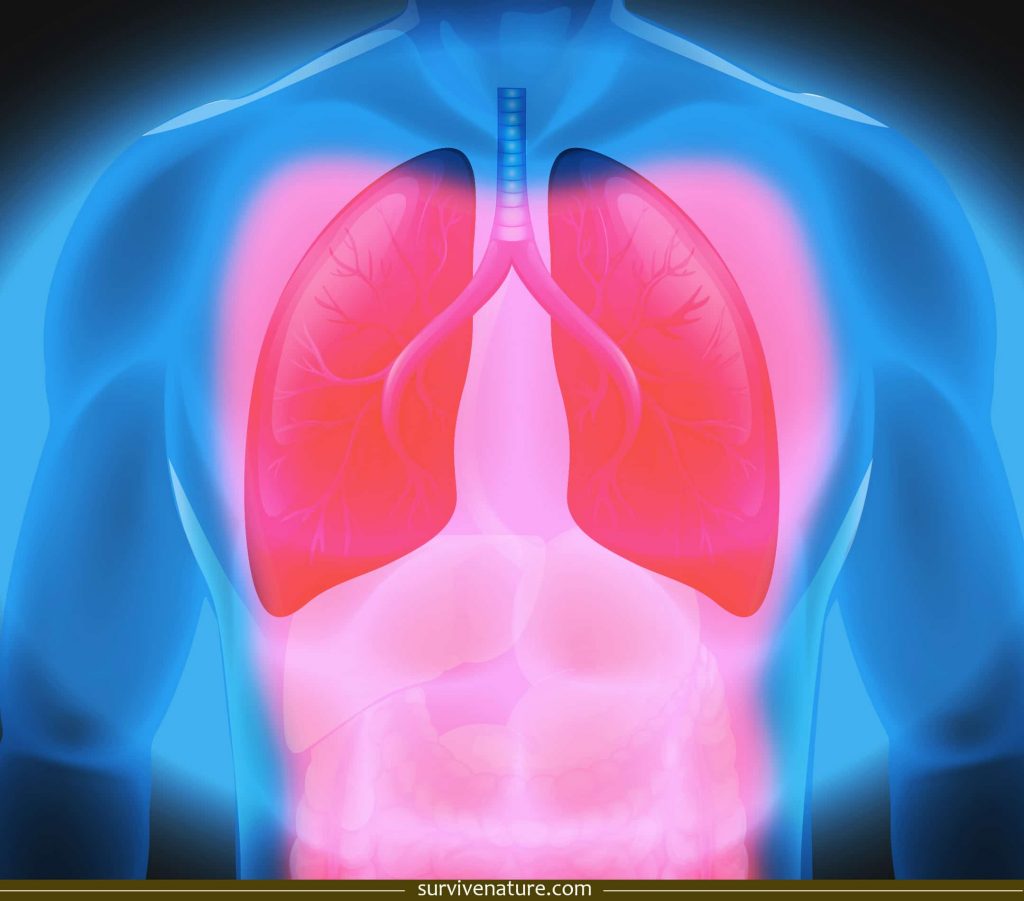 Acute Radiation Syndrome - Survive Nature